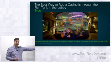 Casino Fish Tank